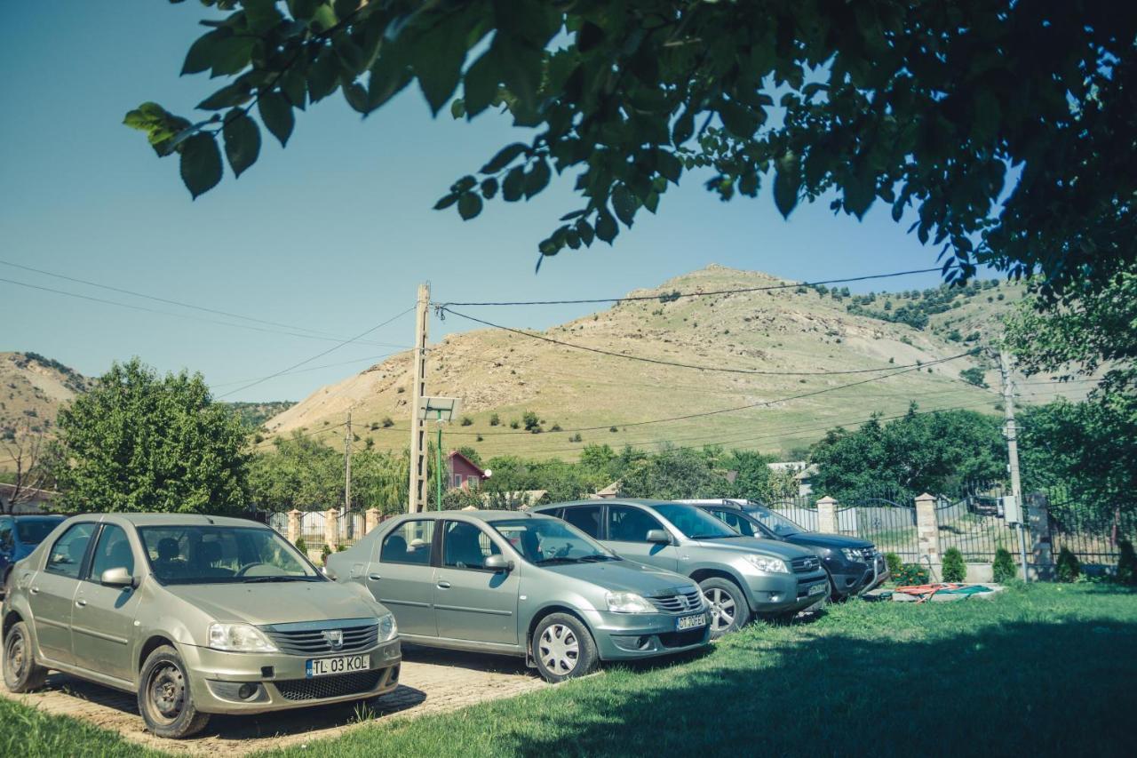 Pensiunea La Nenea Iancu Greci ภายนอก รูปภาพ