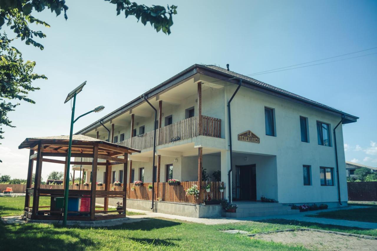 Pensiunea La Nenea Iancu Greci ภายนอก รูปภาพ